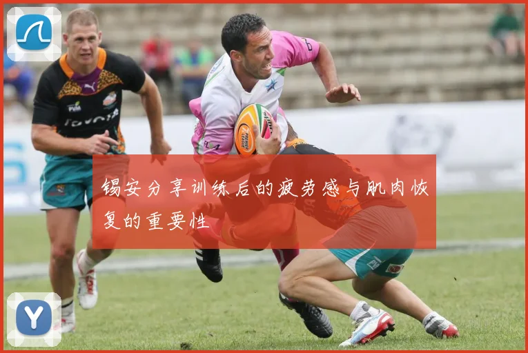锡安分享训练后的疲劳感与肌肉恢复的重要性