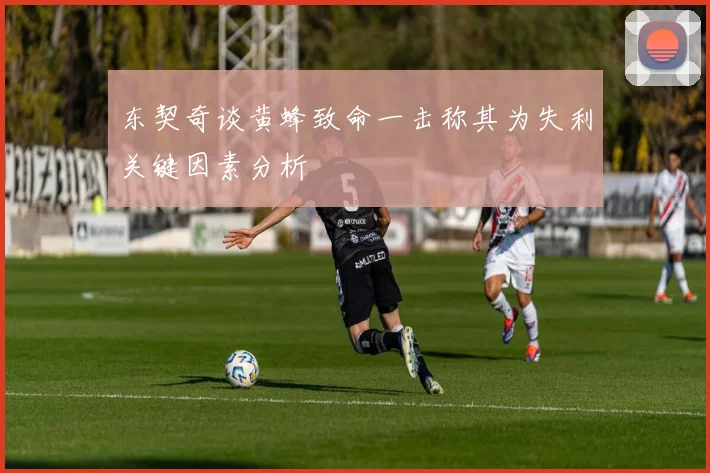 东契奇谈黄蜂致命一击称其为失利关键因素分析