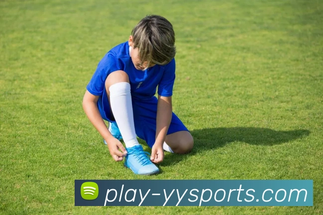 易游体育平台生态图